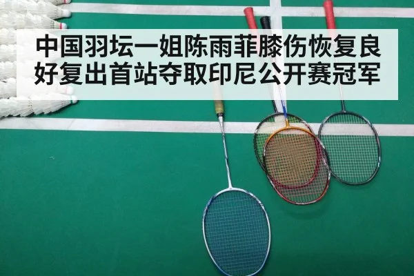 badminton match