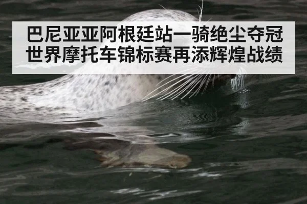 巴尼亚亚阿根廷站一骑绝尘夺冠 世界摩托车锦标赛再添辉煌战绩